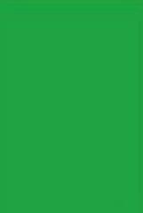 Liner Croma Solid Colour Parrot Green Plain Laminate 8x4 ft Glossy 0.8 mm - CSHG 1037