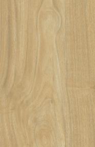 White Oak Wood Laminate 8x4 ft Texture 1 mm - CW 7027