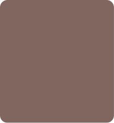 Biscuit Metallic Plain Laminate 8x4 ft Glossy 1 mm - DG 5063