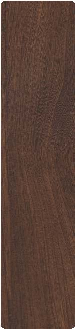 Advance Laminates Dark Roche Elm 8x4 ft Glossy wood laminates Brown DG_6136