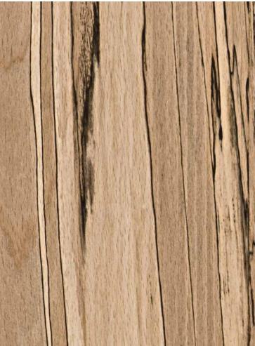 E504 Amazonian Truffle Beech 2440X1220 mm Veneer - 4 mm