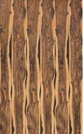 E512 Amazonian Bocote (Live Tree) 2440X1220 mm Veneer - 4 mm
