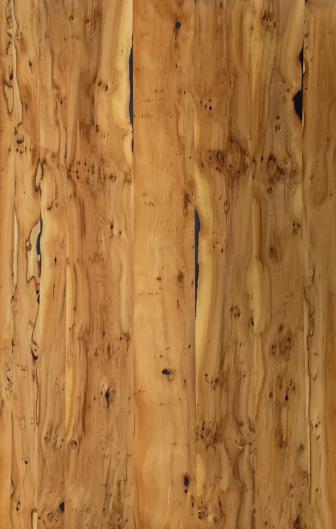 English Yew Tree 2440x1220 mm Silicon Natural Veneer - 3.7 mm
