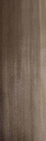 F240 Grimm Fumed Aurelia Ciliata 2440X1220 mm Veneer - 4 mm