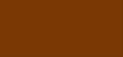 Teracotta Stone Wood Laminate 8x4 ft Texture 0.8 mm - GLE 19