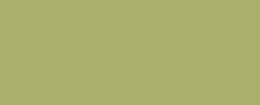 Olive Plain Laminate 8x4 ft High Gloss 1 mm - HGL 557