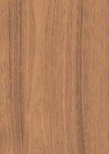 Conorm Oak Wood Laminate 8x4 ft High Gloss 0.8 mm - HGL 8275