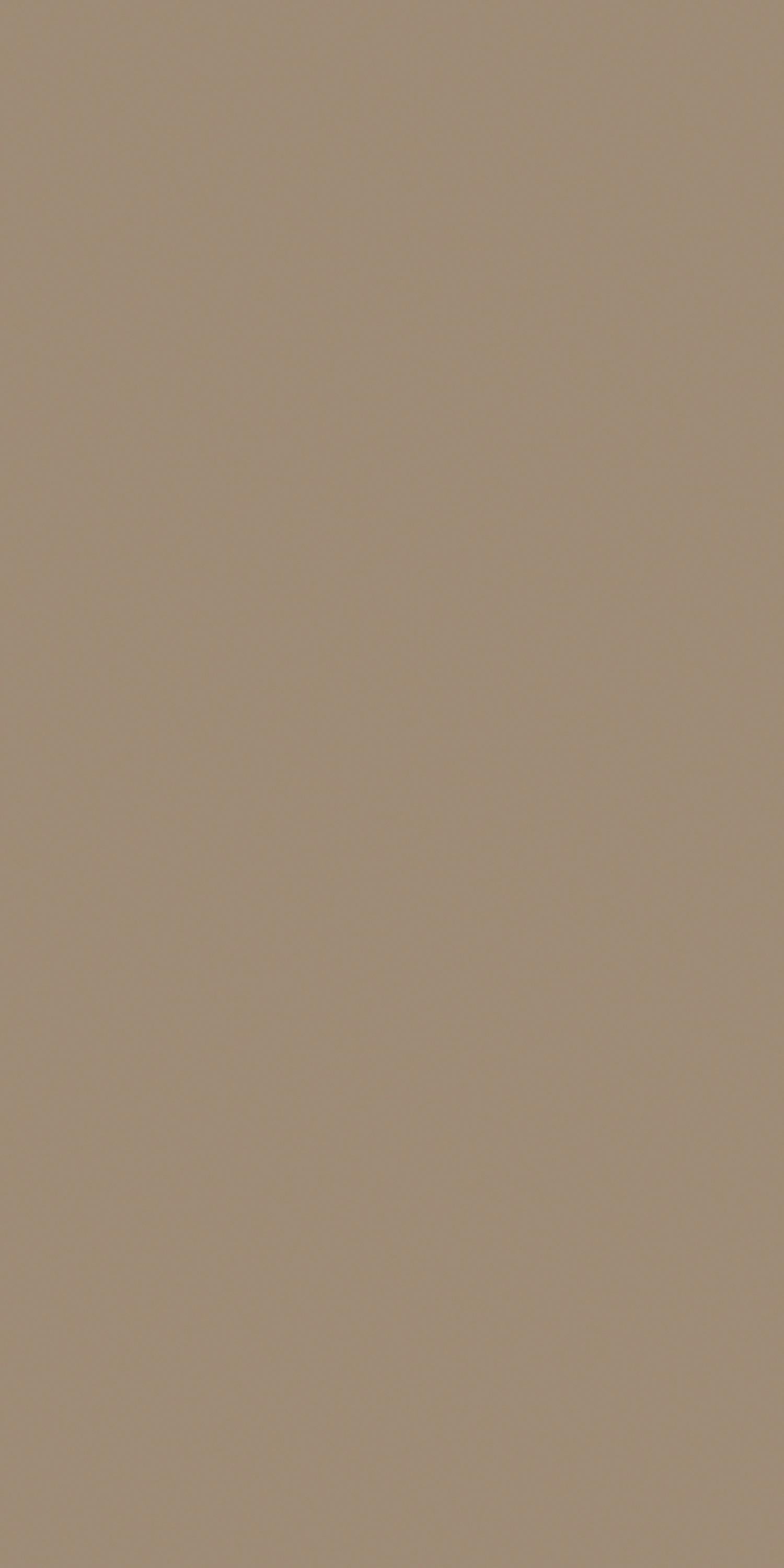 Beige Plain Laminate 8x4 ft High Gloss 1 mm - HG 1221