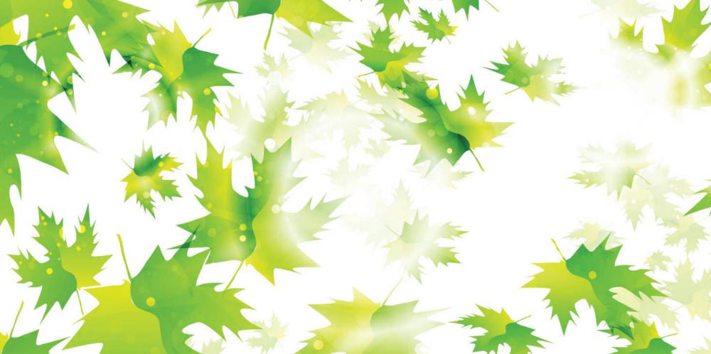 Morning Glory Designer Laminate 8x4 ft High Gloss 1 mm - LCD 1017