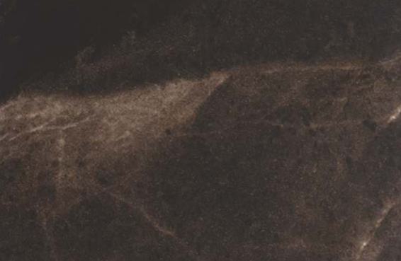 LM 00487 SLK Wooden 8 ft x 4 ft Silky Matt Finish Decorative Laminate - 0.8 mm