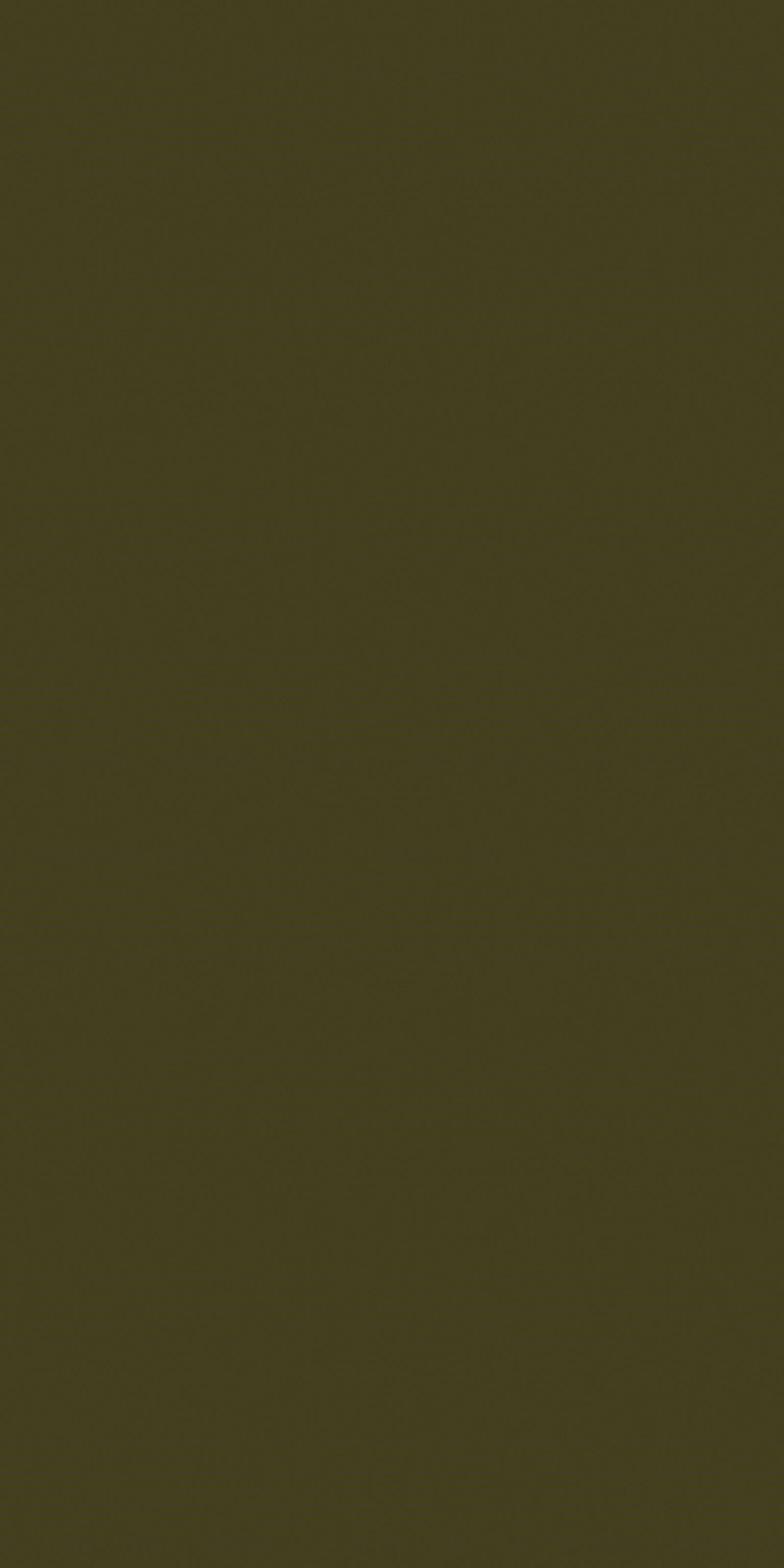 One and Only Plain Laminate 8x4 ft High Gloss 1 mm - LM 14296