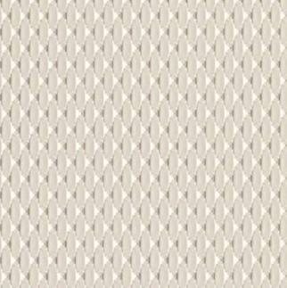 Designer Laminate 8x4 ft Texture 1 mm - LM 18520
