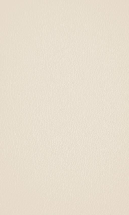 Sea Pearl Plain Laminate 8x4 ft Leather 1 mm - LT 156