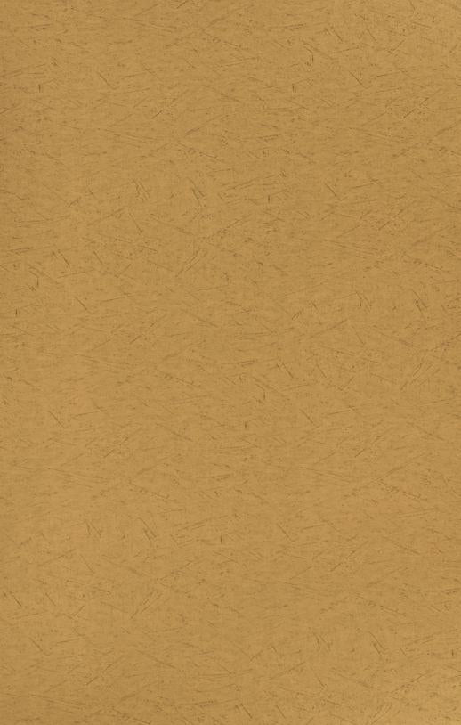 Look Series Marble & Stone Laminate 8x4 ft Texture 1.25 mm - LX2022 Fancy