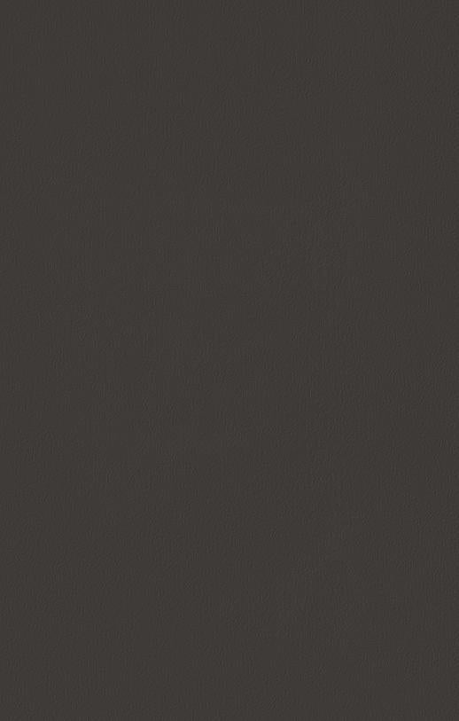 Marble & Laminate 8x4 ft Texture 1.25 mm - LX7019 Stone