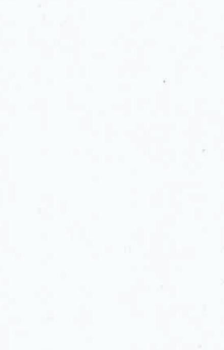 Marble & Stone Laminate 8x4 ft 1.2 mm - MRK 1001
