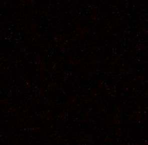 Meraki Laminates MRK 1031 8x4 ft marble & stone laminates Black MRK_1031