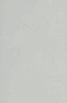 Plain Laminate 8x4 ft 1.2 mm - MRK 9028