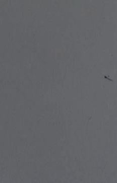 Plain Laminate 8x4 ft 1.2 mm - MRK 9030