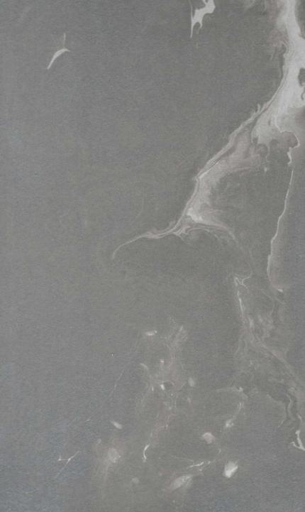 Grey Panda Marble & Stone Laminate 8x4 ft High Gloss 1 mm - MR 737