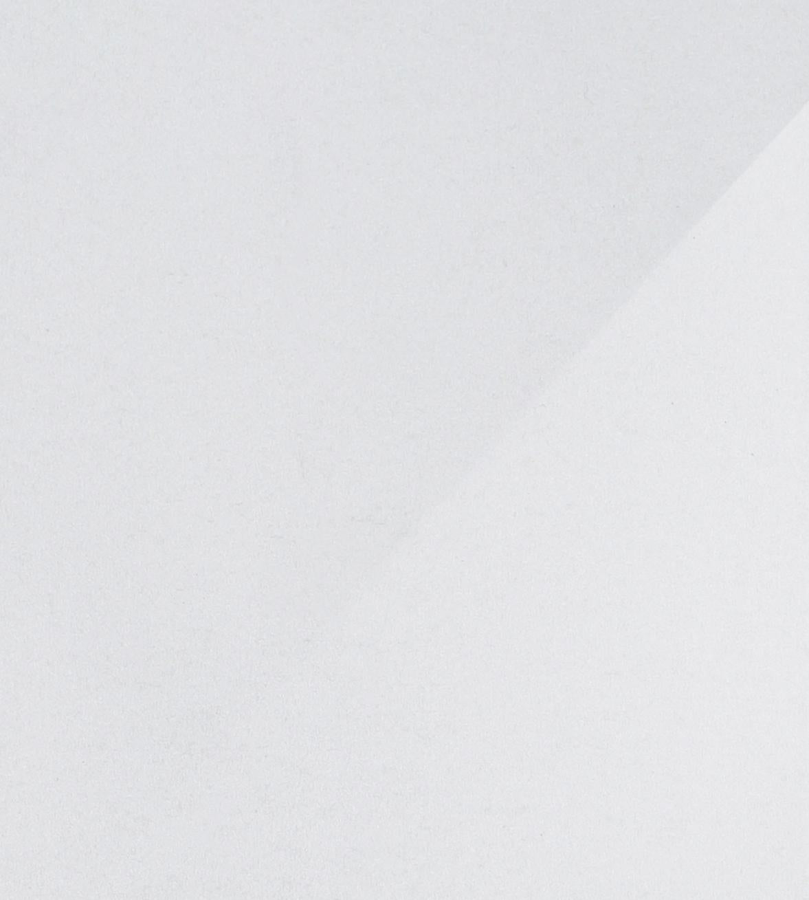 Pearl White PR Laminate 8x4 ft Metallic 0.8 mm - MT 1