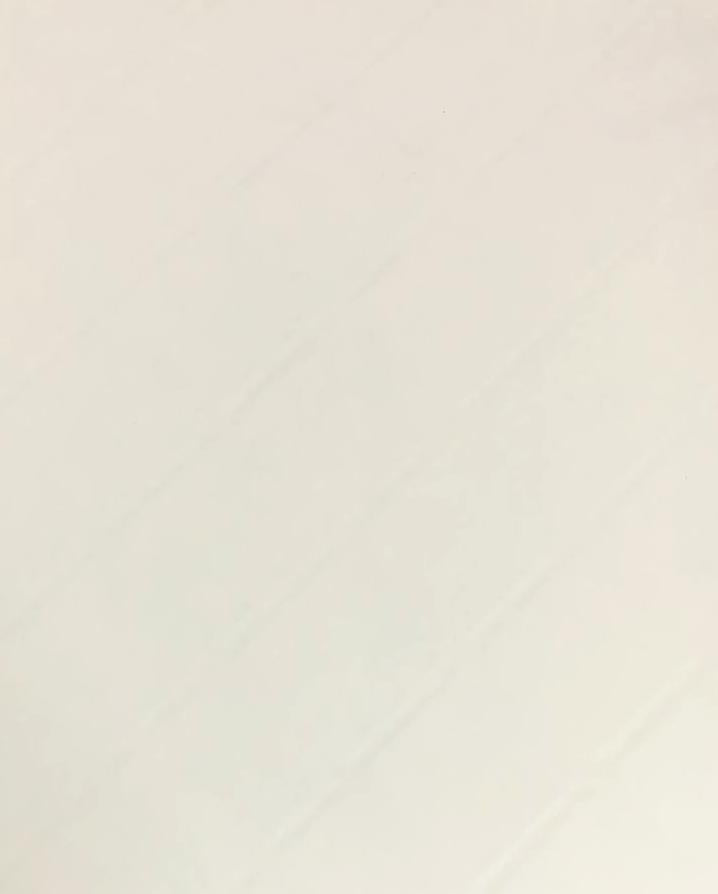 Light Swiss Elm Wood Laminate 8x4 ft Texture 1 mm - OL 1123