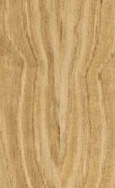 P031 Amazonian Chestnut 2440X1220 mm Veneer - 4 mm