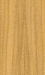 P033 Amazonian Golden Teak 2440X1220 mm Veneer - 4 mm