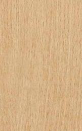 P048 Amazonian White Beech 2440X1220 mm Veneer - 4 mm