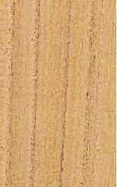 P052 Amazonian Golden Cedar 2440X1220 mm Veneer - 4 mm