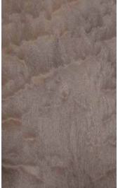 P065 Amazonian Baku Pommele 2440X1220 mm Veneer - 4 mm