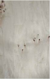 P074 Amazonian Mapa Burl 2440X1220 mm Veneer - 4 mm