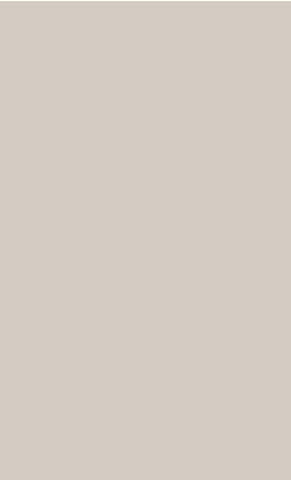 Beige Plain Laminate 8x4 ft Suede 1 mm - PC 140