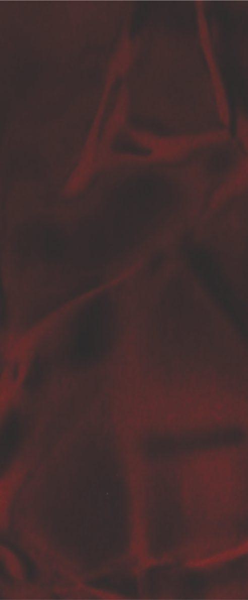 Foxtort PVC Art Red Valvette Designer Laminate 8x4 ft Texture 1.25 mm - PDG 802