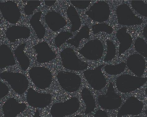 Foxtort PVC Pattern Leopard Black Metro Designer Laminate 8x4 ft Texture 1.25 mm - PDG 852