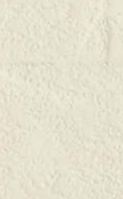 Egg White Marble & Stone Laminate 8x4 ft Texture 1 mm - RGL 901