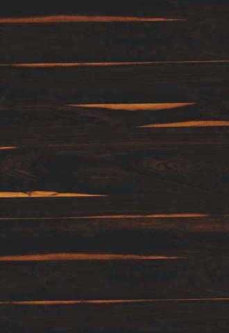 Wood Laminate 8x4 ft High Gloss 1.5 mm - R 317