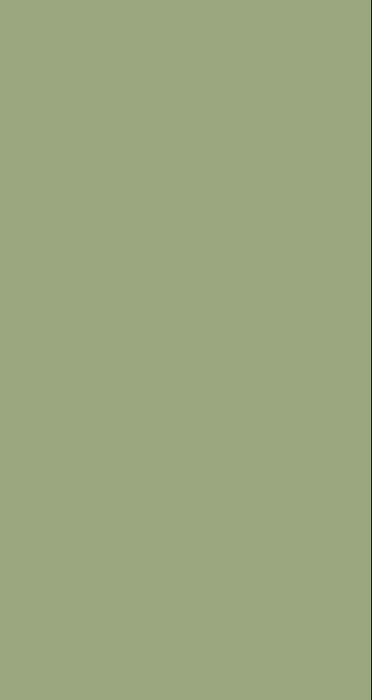 Plain Laminate 8x4 ft High Gloss 1 mm - R 446