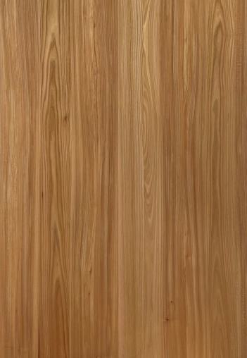 Inoui Veneers Red Elm Natural Veneer 8x4 ft Beige