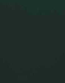 Forest Green Plain Laminate 8x4 ft High Gloss 1 mm - S1125 UG