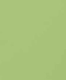 Pastel Lime Plain Laminate 8x4 ft High Gloss 1 mm - S1126 UG