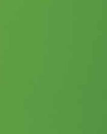 Lawn Green Plain Laminate 8x4 ft High Gloss 1 mm - S1127 UG