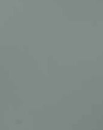 Platinum Grey Plain Laminate 8x4 ft Matte 1 mm - S1175 TM