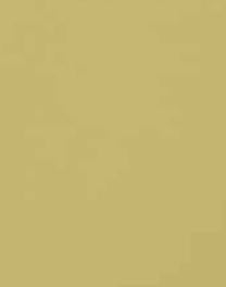 Unmellow Yellow Plain Laminate 8x4 ft High Gloss 1 mm - S1191 UG