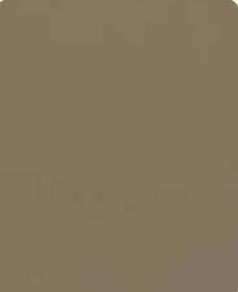 Latte Plain Laminate 8x4 ft High Gloss 1 mm - S1241 UG
