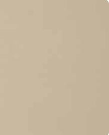 Creme Plain Laminate 8x4 ft High Gloss 1 mm - S1272 UG