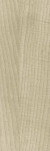 S409 Silverwood Silver Blaze 2440X1220 mm Veneer - 4 mm