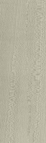 S410 Silverwood Silver Cypress 2440X1220 mm Veneer - 4 mm