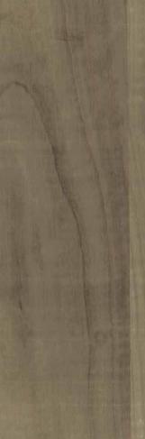 S413 Silverwood Silver Luster 2440X1220 mm Veneer - 4 mm