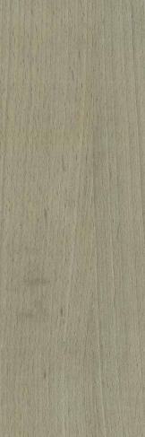 S418 Silverwood Silver Sandune 2440X1220 mm Veneer - 4 mm